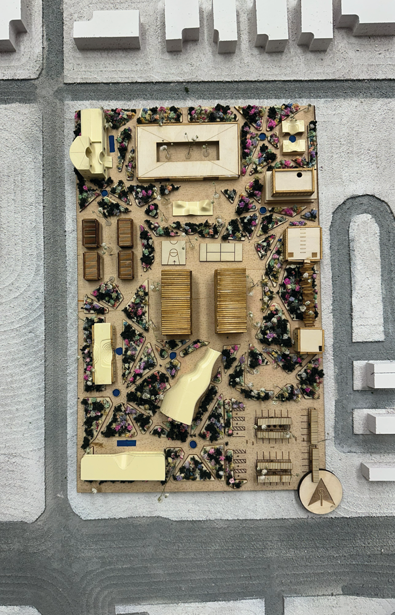 Site model top view showing landscape and program layout